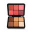 Carla Secret Concealer &  Blush  Professional Makeup
