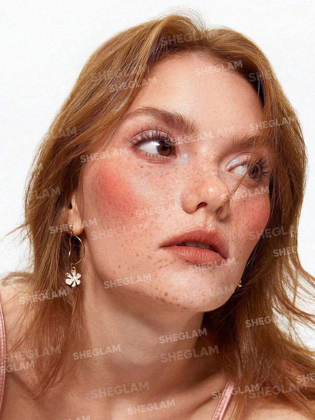 SHEGLAM Divine Flush Matte Blush Powder