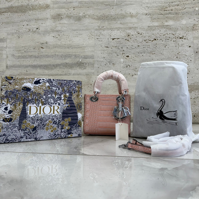 Christian dior Lady Dior Bag ( PINK ) Hover Image