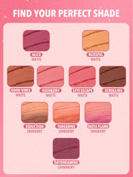 SHEGLAM Divine Flush Matte Blush Powder